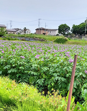 柿右衛門農園